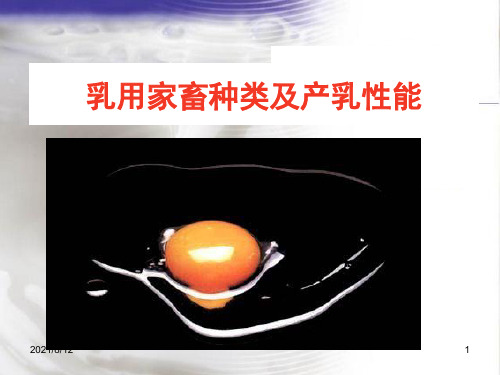 【创业养殖技术】乳用家畜种类及产乳性能 PPT课件