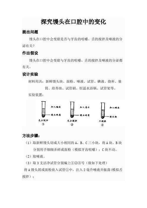 探究馒头在口腔中的变化