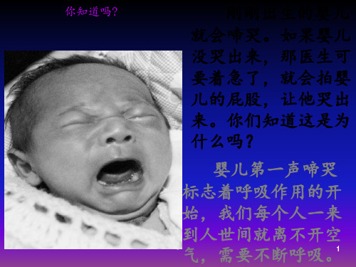 第一节 呼吸道对空气的处理课件ppt课件