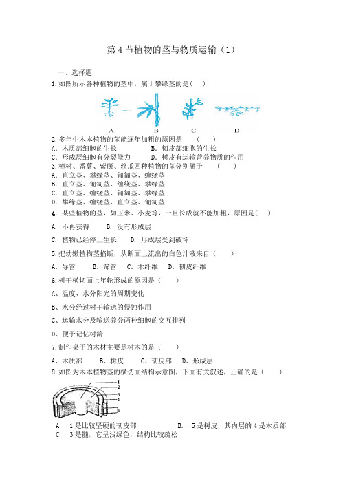 第4节植物的茎与物质运输