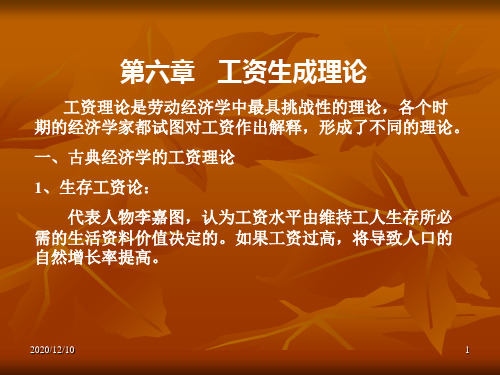 劳动经济学第6章PPT教学课件