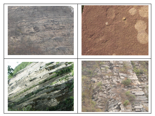 常见岩石的特征