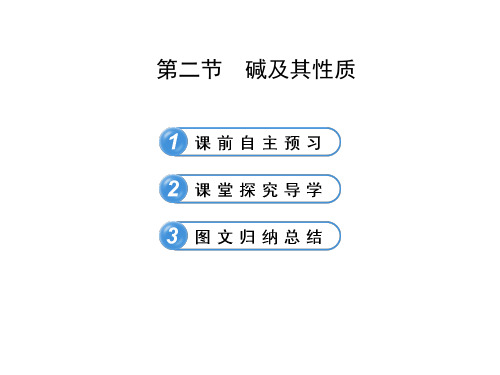 鲁教版(五四制)初中化学九年级下册_《碱及其性质》复习课件