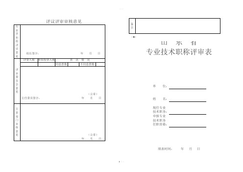 评议评审审核意见