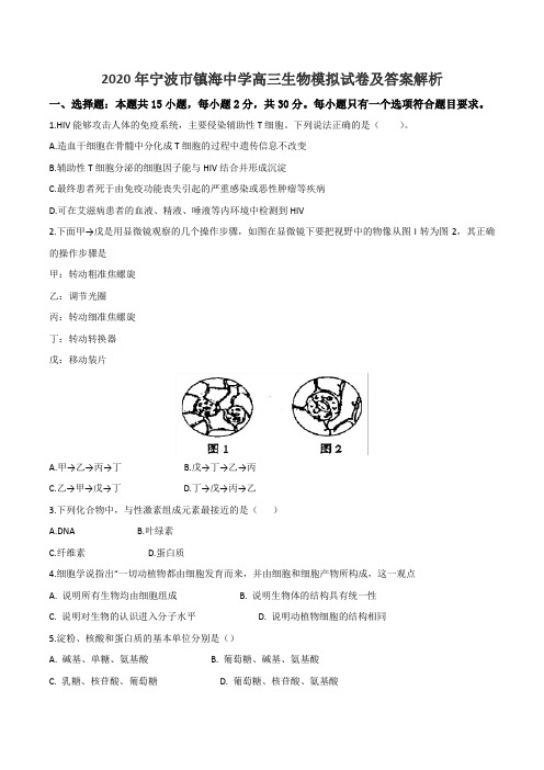 2020年宁波市镇海中学高三生物模拟试卷及答案解析