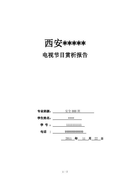 电视节目赏析报告