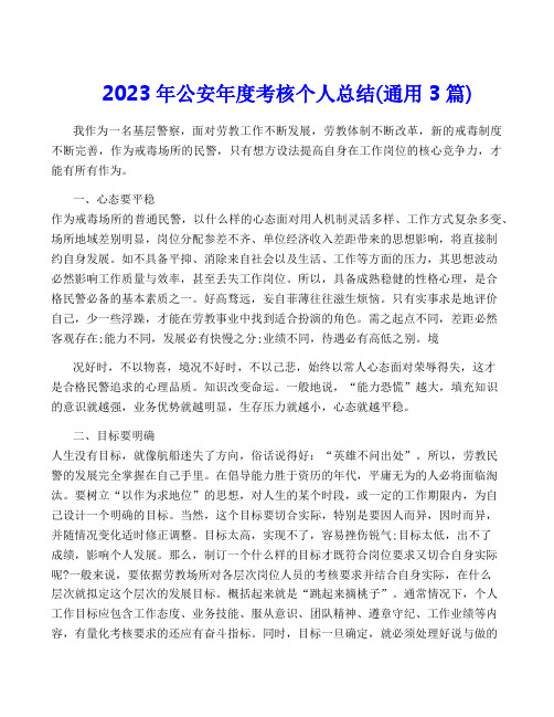 2023年公安年度考核个人总结(通用3篇)