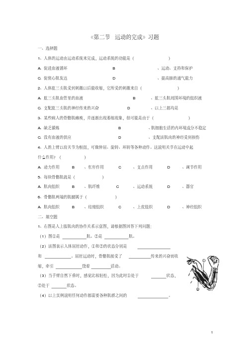 八年级生物上册第四单元第一章第二节运动的完成习题冀少版