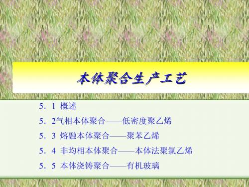 本体聚合