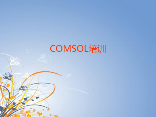 COMSOL技能培训  