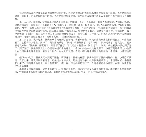 最新一个小小的生命就这样没有了作文
