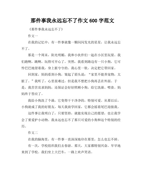 那件事我永远忘不了作文600字范文