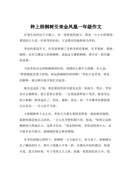 种上梧桐树引来金凤凰一年级作文