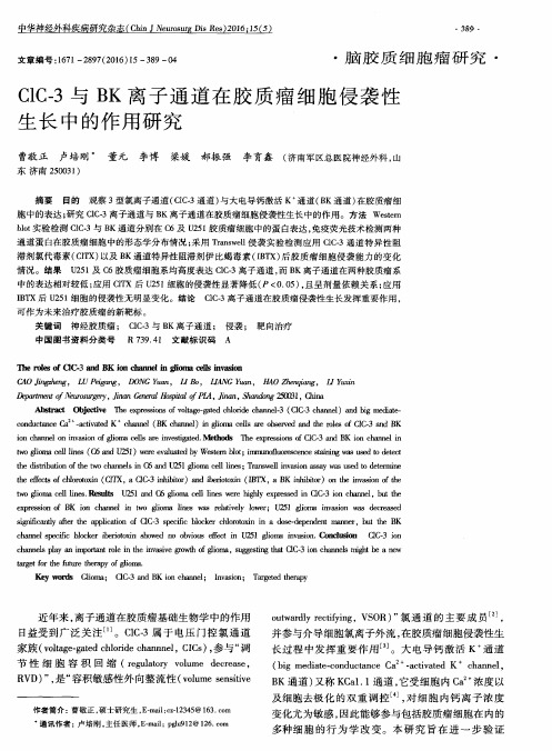 ClC-3与BK离子通道在胶质瘤细胞侵袭性生长中的作用研究