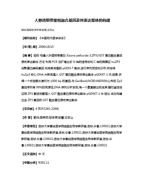 人卵透明带重组融合基因及其表达载体的构建