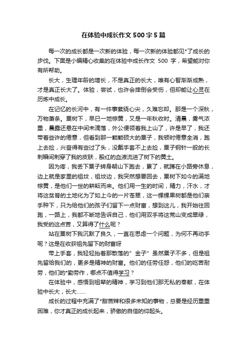 在体验中成长作文500字5篇