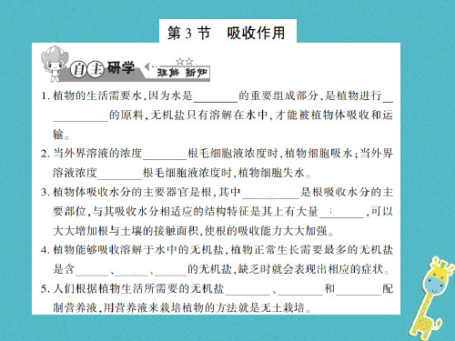 七年级生物上册第三单元第五章第3节吸收作用习题课件新版北师大版0803333