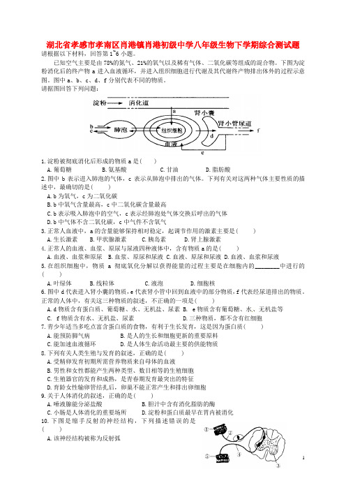 湖北省孝感市孝南区肖港镇肖港初级中学八年级生物下学期综合测试题13(无答案) 北师大版