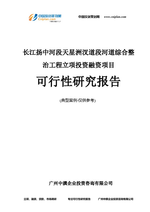 长江扬中河段天星洲汊道段河道综合整治工程融资投资立项项目可行性研究报告(非常详细)