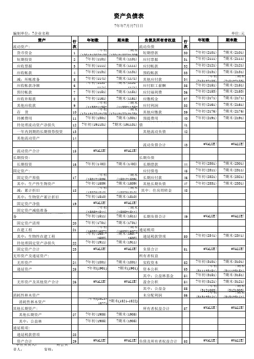 农业企业-资产负债表