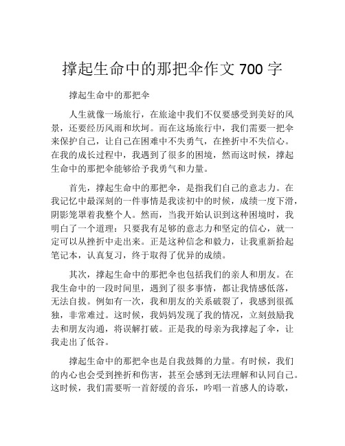 撑起生命中的那把伞作文700字