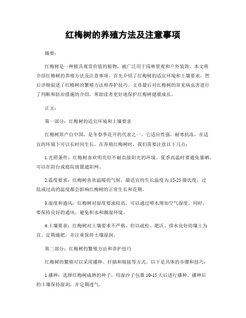 红梅树的养殖方法及注意事项