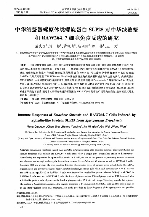 中华绒螯蟹螺原体类螺旋蛋白SLP25对中华绒螯蟹和RAW264.7细胞免疫反应的研究