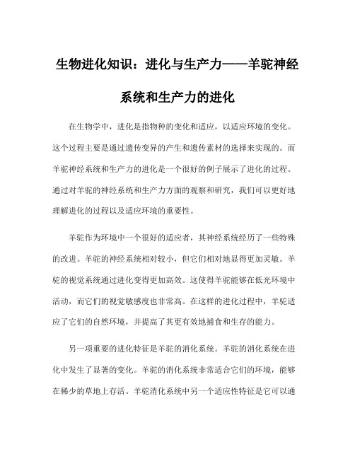 生物进化知识：进化与生产力——羊驼神经系统和生产力的进化