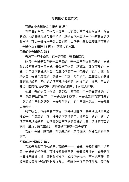 可爱的小仓鼠作文（精选45篇）