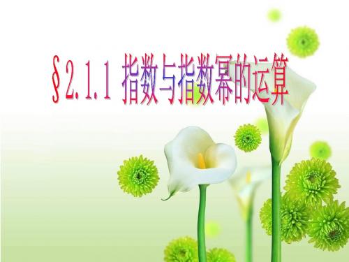 数学：2.1.1《指数与指数幂的运算》课件(新人教A版必修1)(2019年新版)