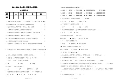 2019-2020学年  六年级下册科学期末试卷 含答案 教科版