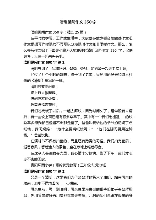 清明见闻作文350字