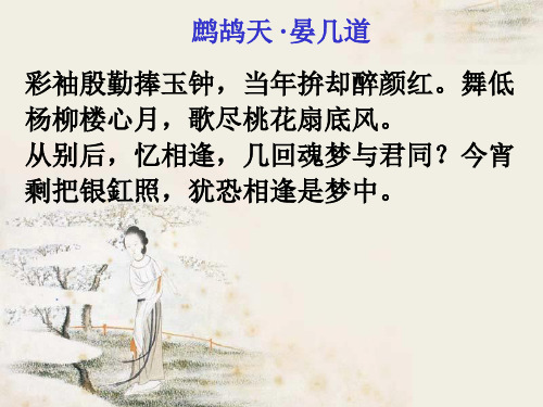 《鹧鸪天》教学课件(13张ppt)