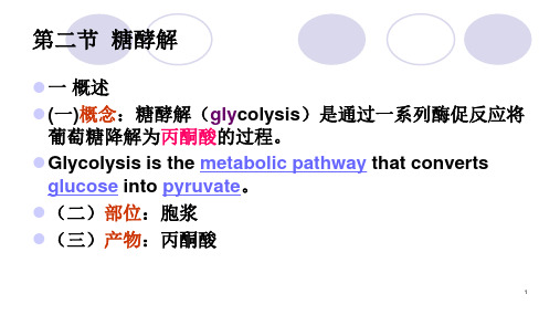 糖类代谢—糖酵解