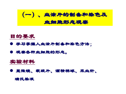 实验五血涂片的制备和染色血细胞形态观察与血型鉴定