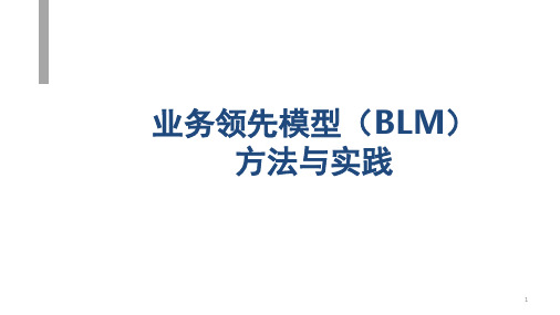 业务领先模型(BLM)方法与实践(课堂PPT)