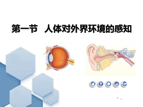 《人体对外界环境的感知》PPT优质课件