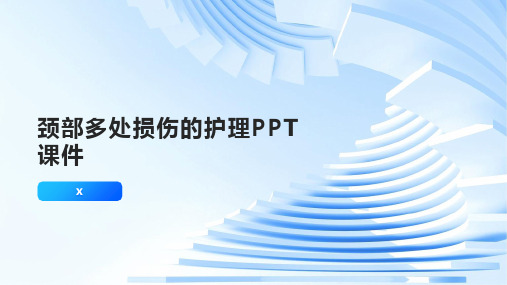 颈部多处损伤的护理PPT课件