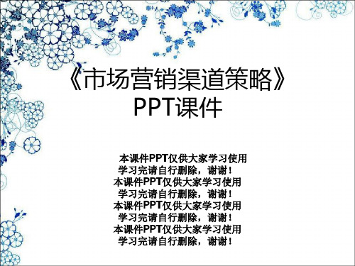 《市场营销渠道策略》PPT课件