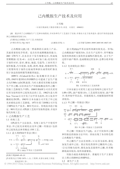 己内酰胺生产技术及应用_王雪梅