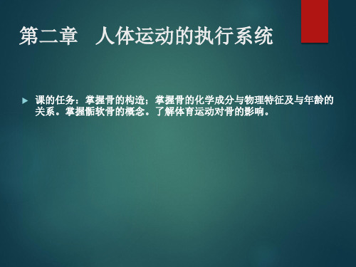 《运动解剖学》人体运动的执行系统,骨骼部分课件