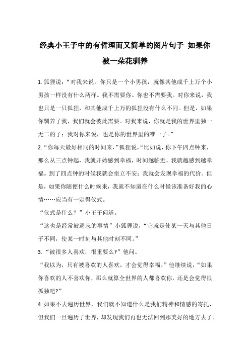 经典小王子中的有哲理而又简单的图片句子 如果你被一朵花驯养