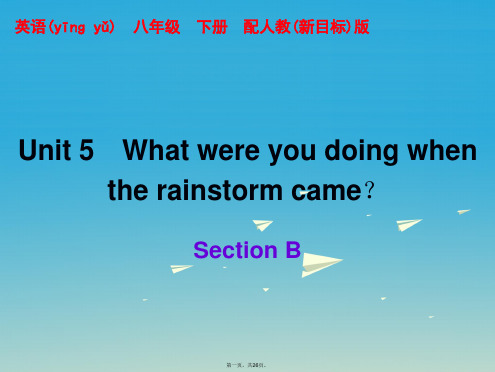 八年级英语下册Unit5WhatwereyoudoingwhentherainstormcameSe