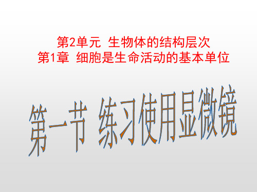 人教版七年级生物上册第二单元第一章教学课件全套