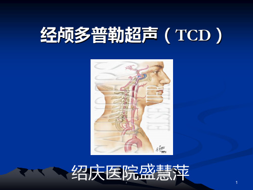 经颅多普勒(TCD)讲解PPT课件