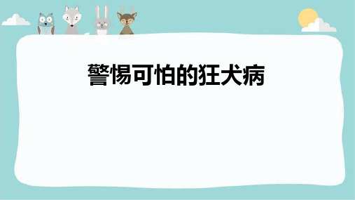 五年级安全教育 警惕可怕的狂犬病