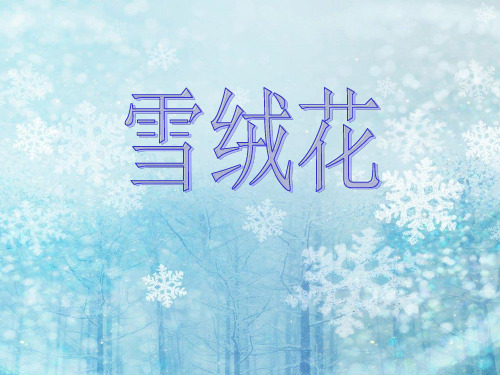 《雪绒花》PPT完整