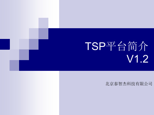 TSP平台(概要 产品简介) v1.2