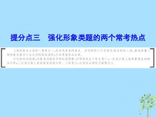 2019年高考语文大二轮复习第二章小说阅读提分点三强化形象类题的两个常考热点课件201812152109