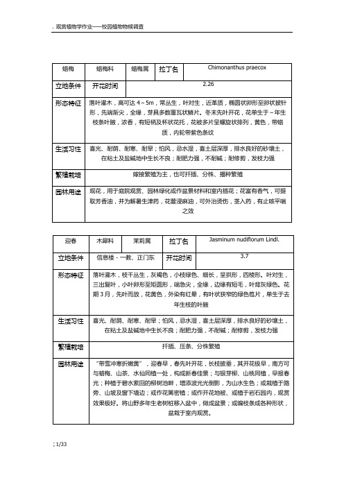 观赏植物学作业——校园植物早春花期报告